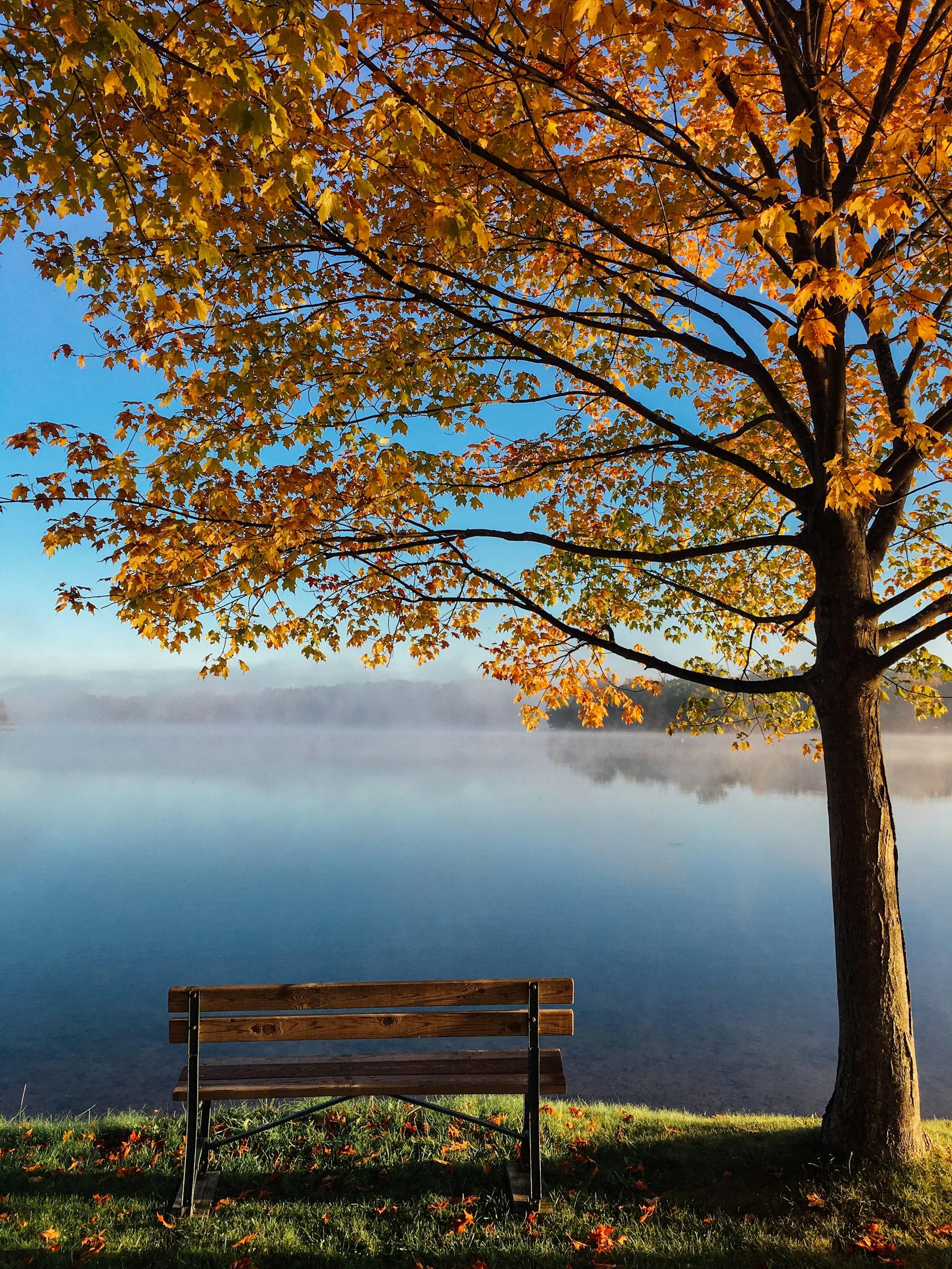 Cover Image for Autumn Routine Reset: Re-Establishing Healthy Habits with Professional Weight Management